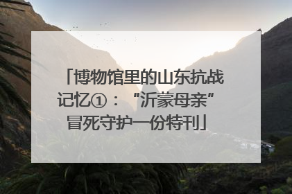 博物馆里的山东抗战记忆①：“沂蒙母亲”冒死守护一份特刊