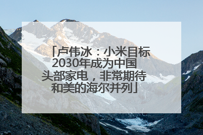 卢伟冰：小米目标2030年成为中国头部家电，非常期待和美的海尔并列