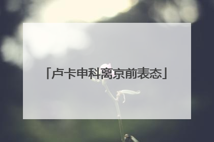 卢卡申科离京前表态