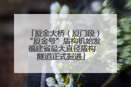 厦金大桥（厦门段）“厦金号”盾构机始发 福建省最大直径盾构隧道正式掘进