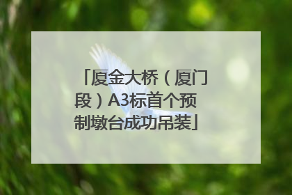 厦金大桥（厦门段）A3标首个预制墩台成功吊装