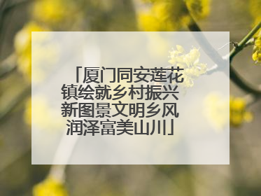 厦门同安莲花镇绘就乡村振兴新图景文明乡风润泽富美山川