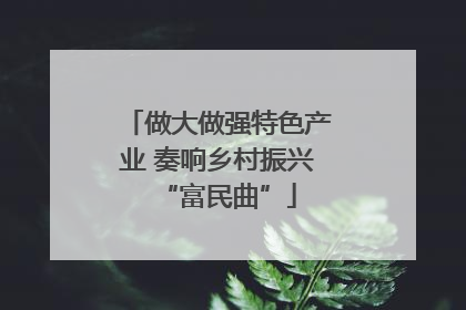 做大做强特色产业 奏响乡村振兴“富民曲”