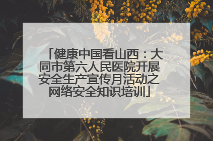 健康中国看山西：大同市第六人民医院开展安全生产宣传月活动之网络安全知识培训