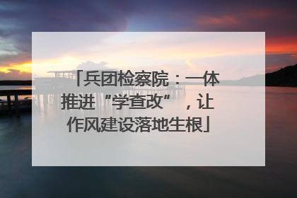 兵团检察院：一体推进“学查改”，让作风建设落地生根