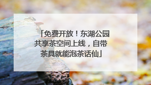 免费开放！东湖公园共享茶空间上线，自带茶具就能泡茶话仙