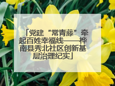 党建“常青藤”牵起百姓幸福线——桦南县秀北社区创新基层治理纪实