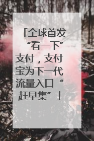 全球首发“看一下”支付，支付宝为下一代流量入口“赶早集”