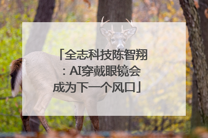 全志科技陈智翔：AI穿戴眼镜会成为下一个风口