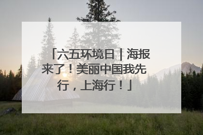 六五环境日｜海报来了！美丽中国我先行，上海行！
