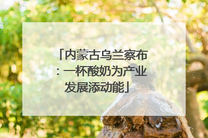 内蒙古乌兰察布：一杯酸奶为产业发展添动能