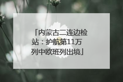 内蒙古二连边检站：护航第11万列中欧班列出境