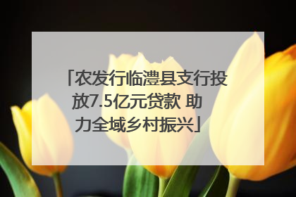 农发行临澧县支行投放7.5亿元贷款 助力全域乡村振兴