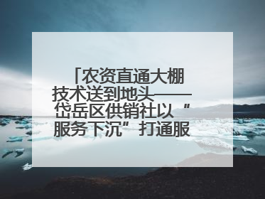 农资直通大棚 技术送到地头——岱岳区供销社以“服务下沉”打通服务“三农”最后一公里