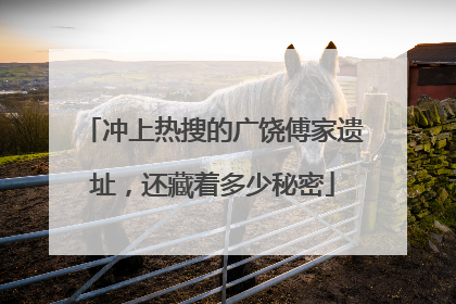 冲上热搜的广饶傅家遗址，还藏着多少秘密