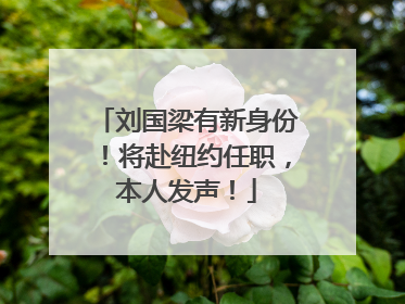 刘国梁有新身份！将赴纽约任职，本人发声！