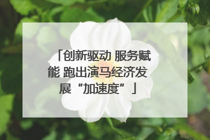 创新驱动 服务赋能 跑出演马经济发展“加速度”