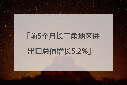 前5个月长三角地区进出口总值增长5.2%