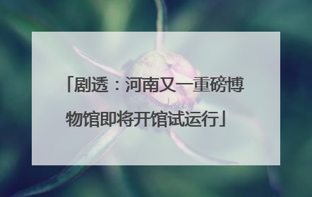 剧透：河南又一重磅博物馆即将开馆试运行