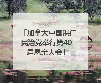 加拿大中国洪门民治党举行第40届恳亲大会