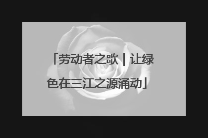 劳动者之歌｜让绿色在三江之源涌动