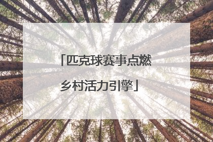 匹克球赛事点燃乡村活力引擎