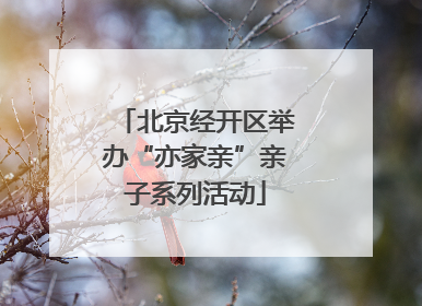 北京经开区举办“亦家亲”亲子系列活动