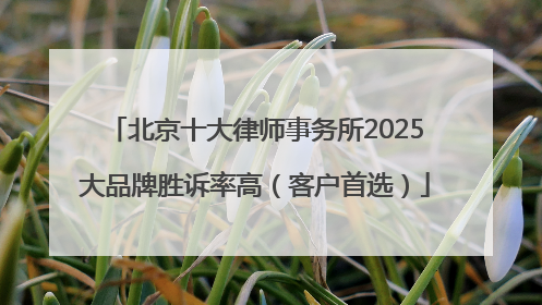 北京十大律师事务所2025大品牌胜诉率高（客户首选）