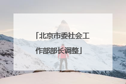北京市委社会工作部部长调整