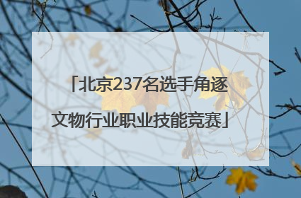 北京237名选手角逐文物行业职业技能竞赛