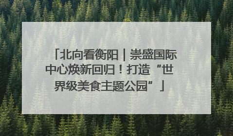 北向看衡阳｜崇盛国际中心焕新回归！打造“世界级美食主题公园”