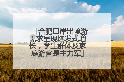 合肥口岸出境游需求呈现爆发式增长，学生群体及家庭游客是主力军