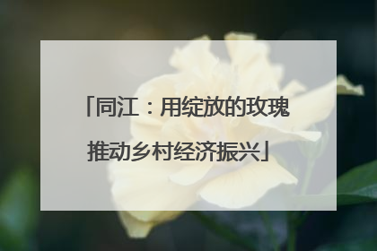 同江：用绽放的玫瑰 推动乡村经济振兴