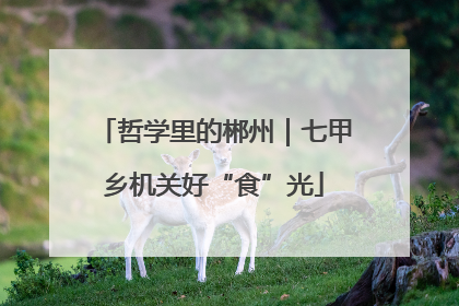 哲学里的郴州｜七甲乡机关好“食”光