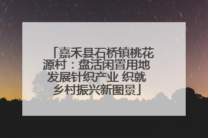 嘉禾县石桥镇桃花源村：盘活闲置用地发展针织产业 织就乡村振兴新图景
