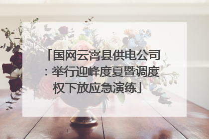 国网云霄县供电公司：举行迎峰度夏暨调度权下放应急演练