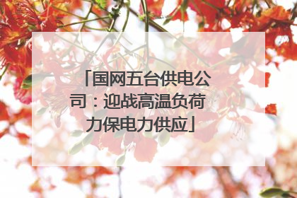 国网五台供电公司：迎战高温负荷 力保电力供应