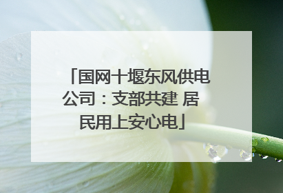 国网十堰东风供电公司：支部共建 居民用上安心电