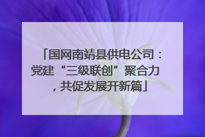国网南靖县供电公司：党建“三级联创”聚合力，共促发展开新篇