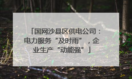 国网沙县区供电公司：电力服务“及时雨”，企业生产“动能强”