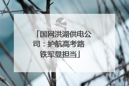 国网洪湖供电公司：护航高考路 铁军显担当