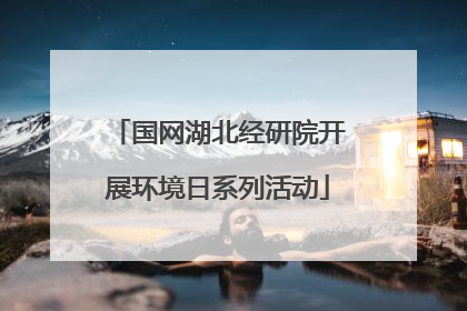 国网湖北经研院开展环境日系列活动
