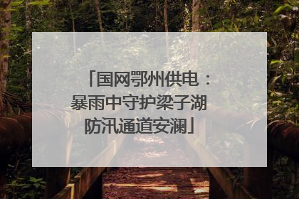 国网鄂州供电：暴雨中守护梁子湖防汛通道安澜