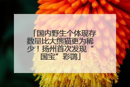国内野生个体现存数量比大熊猫更为稀少！扬州首次发现“国宝”彩鹮