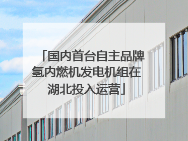国内首台自主品牌氢内燃机发电机组在湖北投入运营