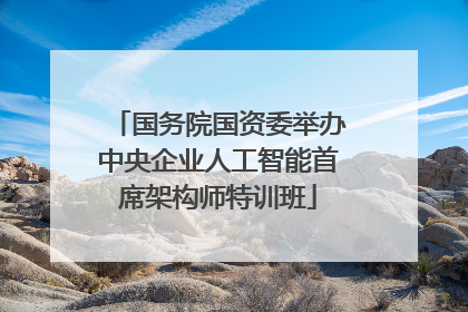 国务院国资委举办中央企业人工智能首席架构师特训班