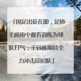 国足出征在即，足协主席雨中观看训练为球队打气，王钰栋期待全力冲击印尼队