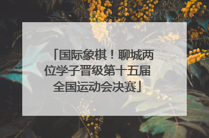 国际象棋！聊城两位学子晋级第十五届全国运动会决赛