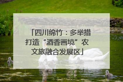 四川绵竹：多举措打造“酒香画境”农文旅融合发展区