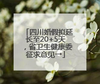 四川婚假拟延长至20+5天，省卫生健康委征求意见→